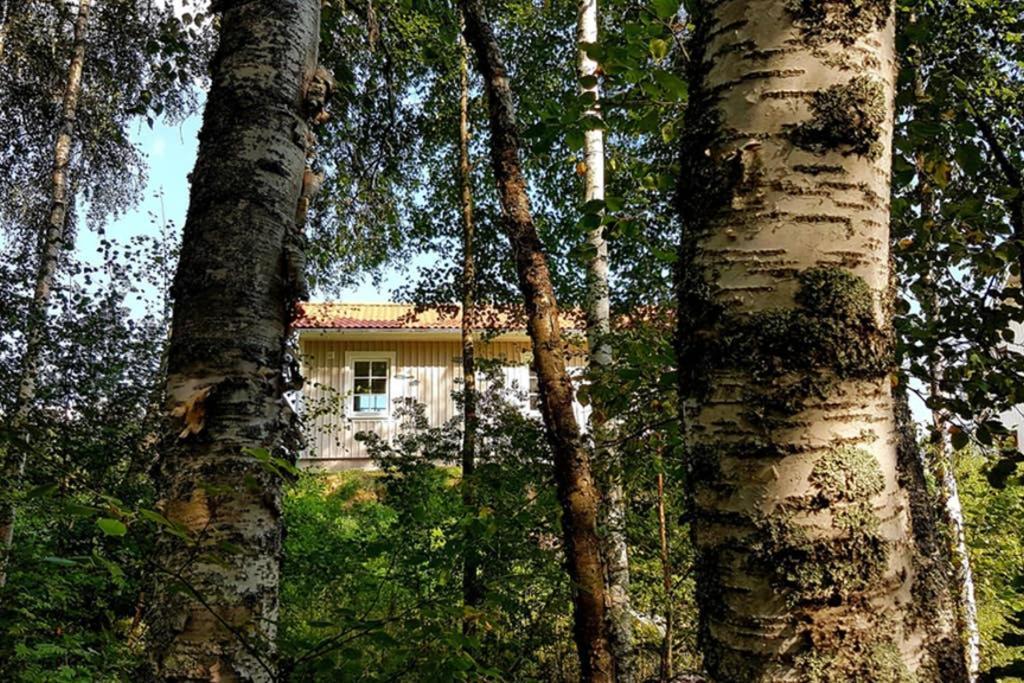 Nybyggd Stuga Intill Skogsbrynet - New Built Cottage Next To The Cowberry Forest Mora Εξωτερικό φωτογραφία